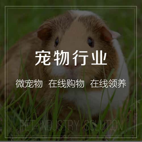 伊春宠物